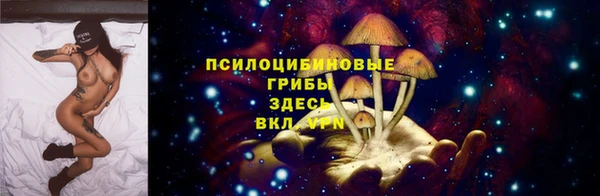 гидра Алексин