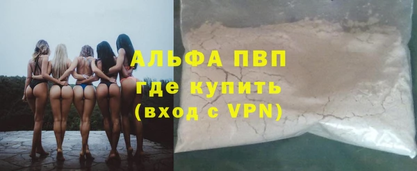 гидра Алексин