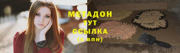 гидра Алексин