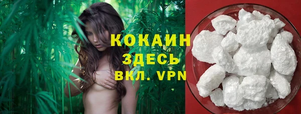 гидра Алексин