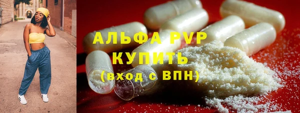 сатива Алексеевка
