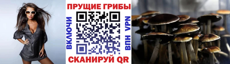 хочу   Луза  Галлюциногенные грибы прущие грибы 